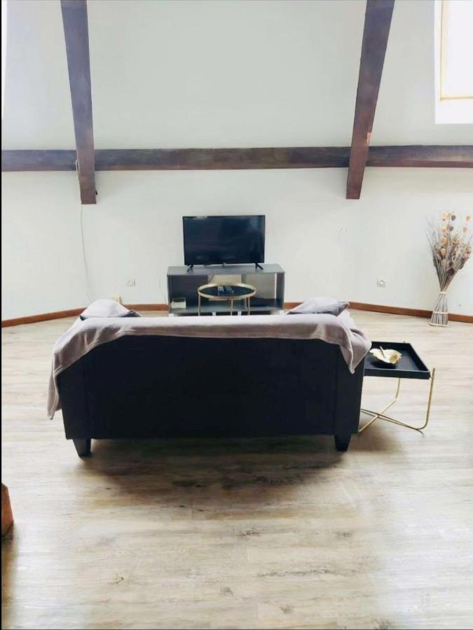 Superbe Appartement Cocooning Proche Des Thermes Vittel Ngoại thất bức ảnh